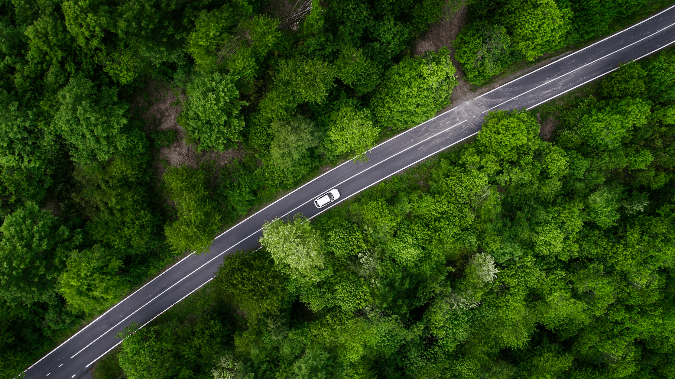 Aerial view of a car travelling through a forest road