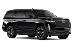Business Van / SUV